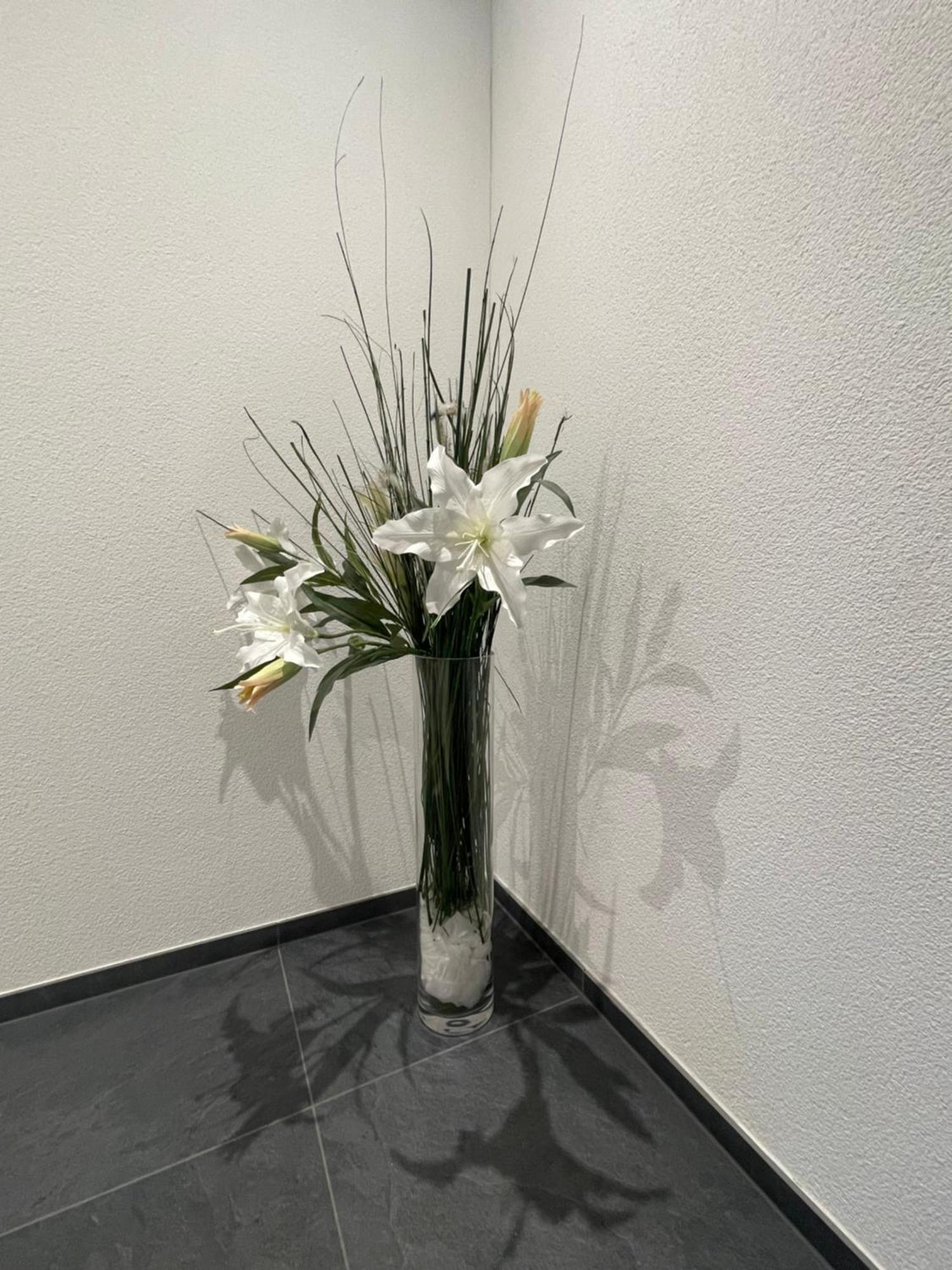 V.I.P Appartement Böttstein Dış mekan fotoğraf